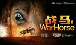 战马 免费在线观看,免费在线观看，感受史诗般的战争传奇