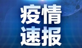 青岛隔离最新爆料新闻,揭秘隔离政策调整与居民生活影响