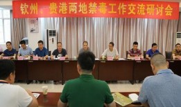 贵港爆料新闻,揭秘近期热点事件背后的真相