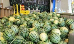 免费吃瓜官网,揭秘网络娱乐新潮流，畅享无界限的趣味盛宴