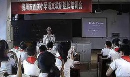 云南小学爆料案件视频,揭开校园安全隐忧