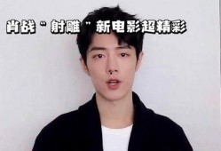 肖战的爆料视频在哪看,揭秘热门视频观看途径