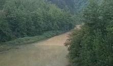 爆料河流视频大全最新,爆料视频大全带你领略自然之美