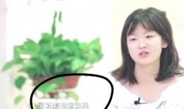 圈内大佬爆料娱乐圈,圈内大佬爆料，明星幕后真相大曝光