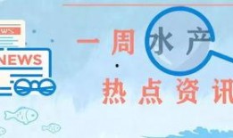 关于水产爆料的新闻标题,新闻爆料的背后真相