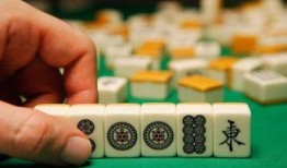 麻将配料爆料视频大全下载,视频大全下载，一探究竟