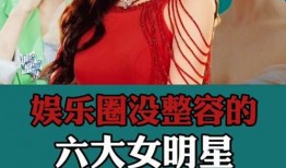 娱乐圈爆料小故事,揭秘明星们的真实故事