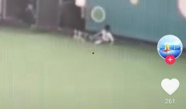 爆料老师打孩子视频,老师殴打学生现场视频曝光