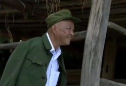 电影 小等 在线观看,温情治愈，见证成长与爱的力量