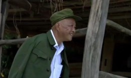 电影 小等 在线观看,温情治愈，见证成长与爱的力量