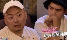 近期娱乐圈艺人被爆料,真相与舆论的漩涡