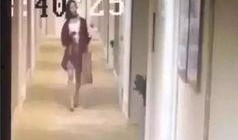 天津饭店爆料视频,揭露惊人内幕，食品安全引关注