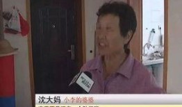 深圳小李爆料新闻事件,揭秘新闻事件背后真相