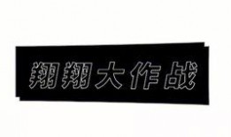 小翔哥爆料视频大全最新,揭秘娱乐圈幕后真相