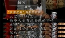 整顿娱乐圈爆料文案,揭秘幕后真相与影响