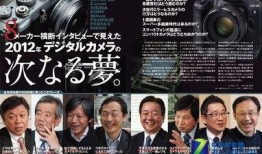 中日爆料张丰毅视频完整版,背后真相与争议