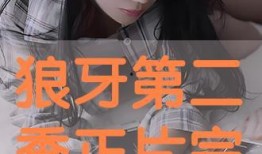 狼牙在线观看完整版,揭秘特种兵的生死较量