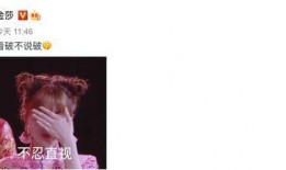 金莎最新爆料视频,揭秘演艺圈幕后真相