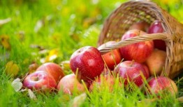 免费吃瓜软件苹果,苹果版“瓜圈”软件，让你轻松畅享娱乐盛宴