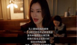 娱乐圈吃瓜完结小说,吃瓜终结篇，揭秘明星背后的真相
