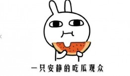 娱乐圈吃瓜的正确方法