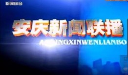 大亚湾电台爆料新闻直播,新闻直播背后的惊人真相