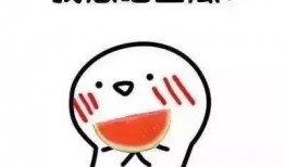 娱乐吃瓜酱语录大全集,笑料百出，揭秘娱乐圈幕后趣闻