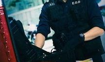 拆单专家在线观看,揭秘高效订单处理秘诀