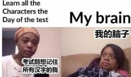 搞笑新闻爆料老外视频,洋人“翻车”瞬间，笑料百出！