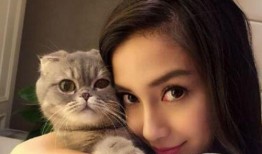 河南都市爆料猫咪事件视频,温情与争议交织的救助瞬间