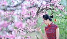 那时花开在线观看,穿越时光的浪漫邂逅