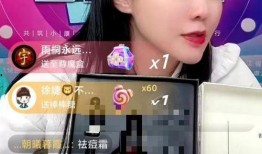辛巴老婆爆料视频大全,揭秘背后真相与情感纠葛