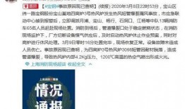 最新深圳王先生爆料事件,揭秘背后惊人真相