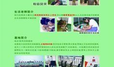 逐梦少年爆料视频,成长路上的梦想与挑战