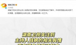 娱乐圈吃瓜专用网站,揭秘那些不为人知的幕后故事