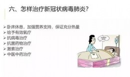 新型冠状病毒最新爆料,揭秘变异株与传播途径