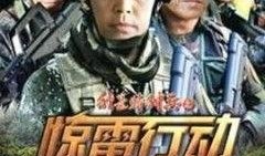 在线观看惊雷行动,揭秘网络犯罪背后的神秘世界