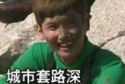 刘大锤最新爆料表情,揭秘娱乐圈最新热点事件