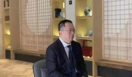 沈南鹏妻子爆料视频,揭秘豪门背后的真相