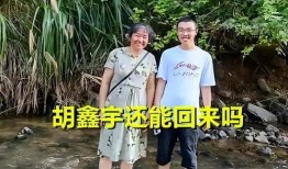 胡鑫宇事件最新爆料,揭秘校园悲剧背后的真相