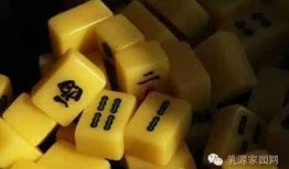 麻将配料爆料视频大全下载,视频大全下载，一探究竟