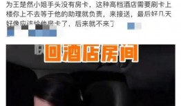 刘大锤爆料王楚然视频,真相即将揭晓