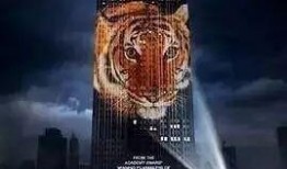 竞相灭绝在线观看,揭秘濒危物种生存危机