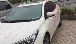 车哥最新爆料了什么,揭秘汽车行业重大动态