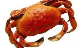 嘉兴蟹居爆料事件视频最新