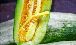 网红吃的什么瓜好吃,盘点那些让人欲罢不能的美食瓜
