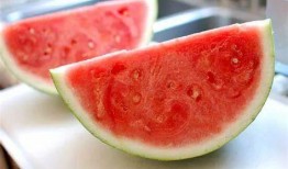 娱乐圈吃瓜的正确方法