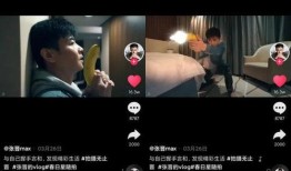 姐夫哥爆料伍哥视频播放,伍哥视频播放背后的惊人真相