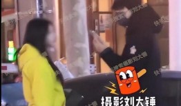 刘大锤明天爆料视频全集,揭秘视频全集幕后真相