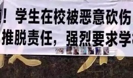 山西忻州爆料事件始末视频,真相与争议的交织